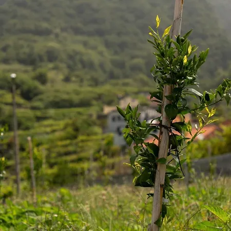 Сasa de vacaciones Casa Avo Da Pedra, By Op *
