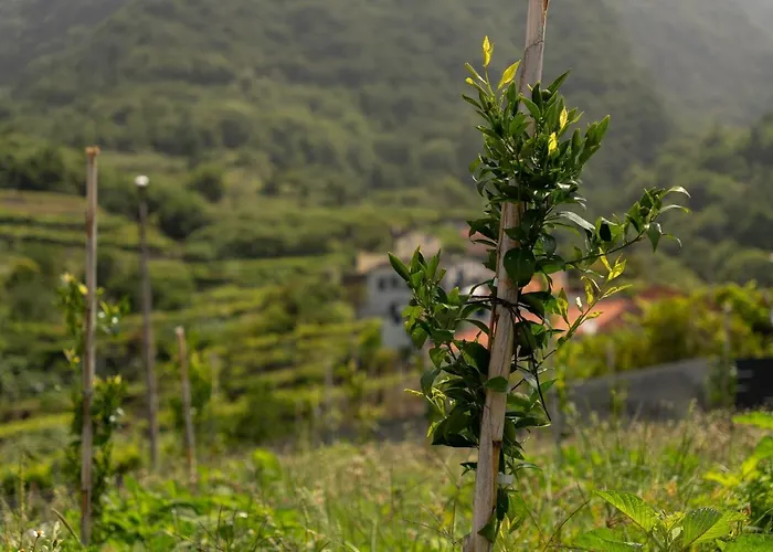 Holiday home Casa Avo Da Pedra, By Op *